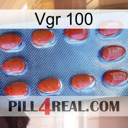 Vgr 100 06